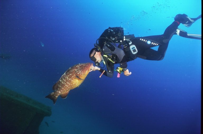 Mergulho1